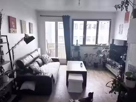 location appartement 3 pièces 47 m² à rouen (76000)  575 €