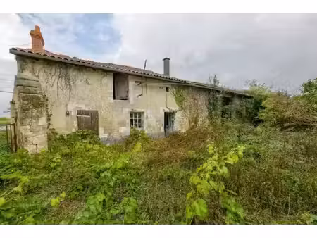 vente propriété 2 pièces 62 m² à ceaux-en-loudun (86200)  41 000 €