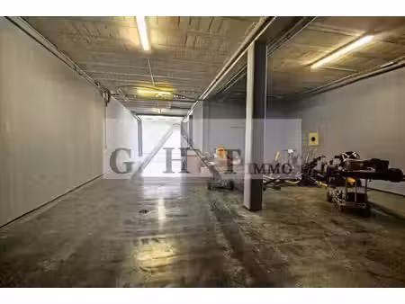 location entrepôt brie comte robert 77170 160m²