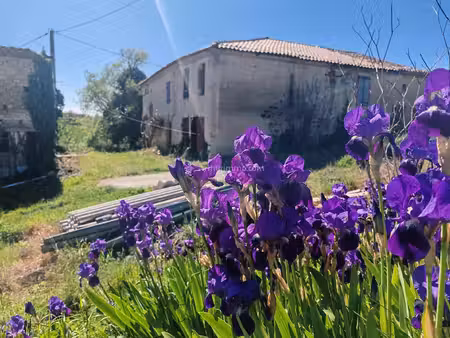 ferme en pierre à rénover - 6 pièces à florentin