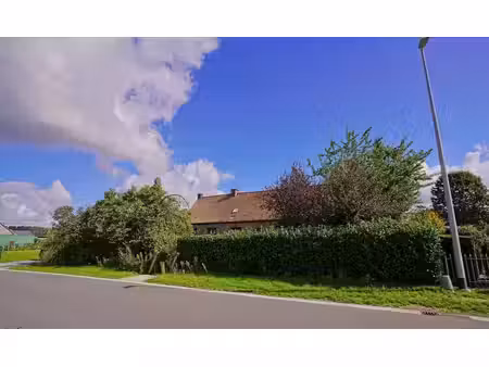 authentieke hoevewoning met stalling en een prachtig uitz...