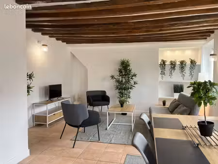 appartement f5 + studio en centre ville