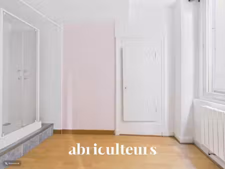 petit 2 pièces à fort potentiel en vente à lyon 1er (69001)