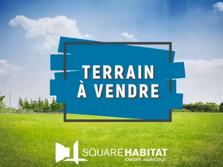 terrain commer