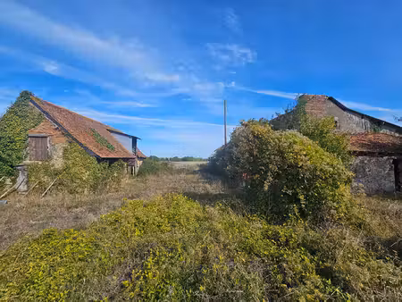 cheviré-le-rouge ? un projet de rénovation pour les passionnés de travaux !