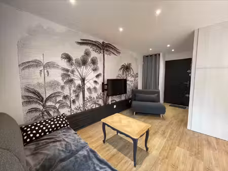 la grande motte- studio meublé avec terrasse