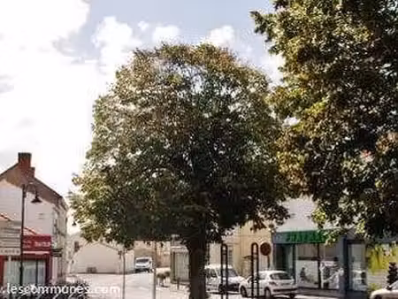 vente terrain à commequiers (85220) : à vendre / commequiers
