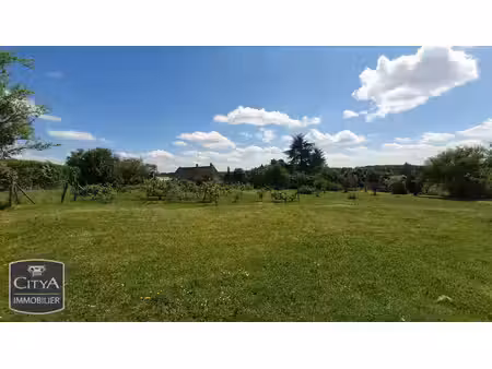 terrain