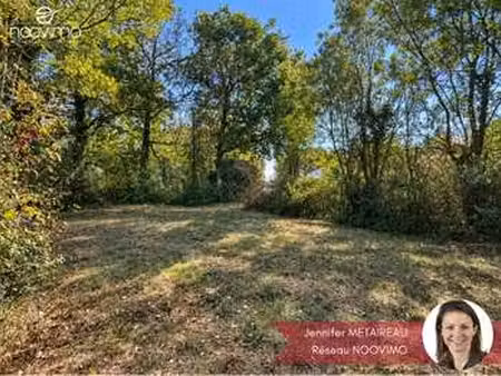 vente terrain à la haie-fouassière (44690) : à vendre / la haie-fouassière