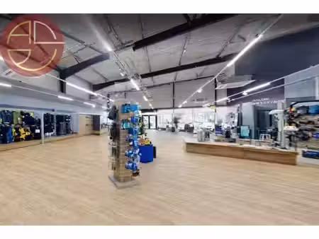 location commerce colomiers 31770 500m²