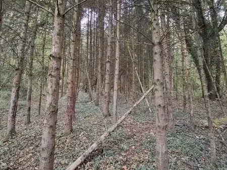 achat terrain 1 108m² passavant en argonne 51800