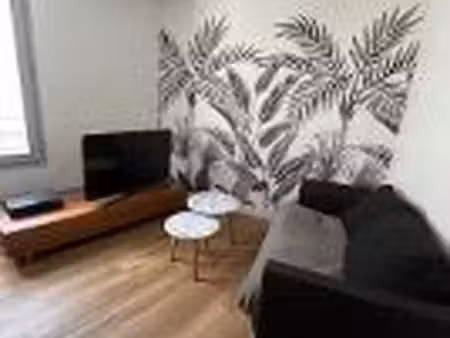 appartement de 38 m2 avec garage centre chinon