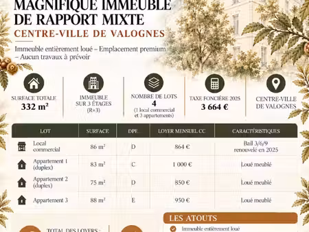 immeuble de rapport mixte entièrement loué – 44 000 € de revenus annuels