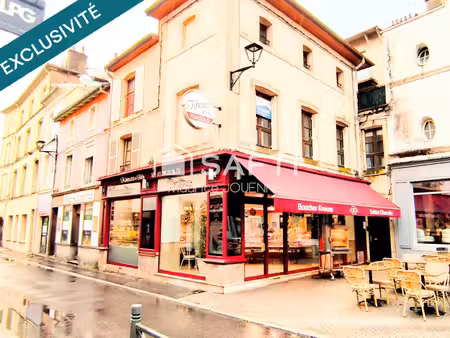 murs commerciaux ou professionnels d'exception  quartier basilique et place des vosges  co