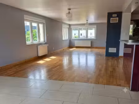 grande maison familiale sur kingersheim. possibilité de vente à terme