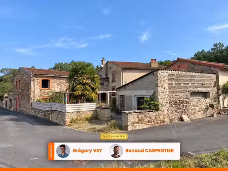 maison en pierre - 4 chambres - 169 m² - jardin - garage - dépendances à ravel