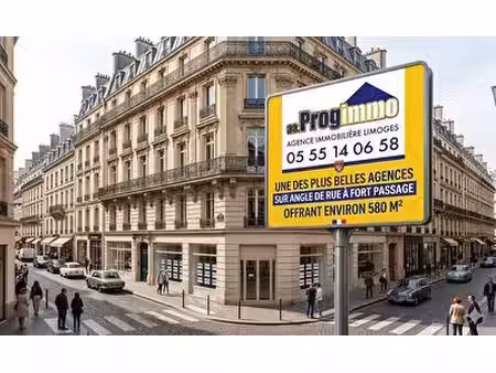 location local d’activités limoges 87000 580m²