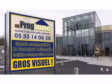 location commerce boisseuil 87220 60m²