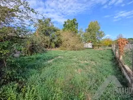 vente terrain à martinet (85150) : à vendre / 540m² martinet
