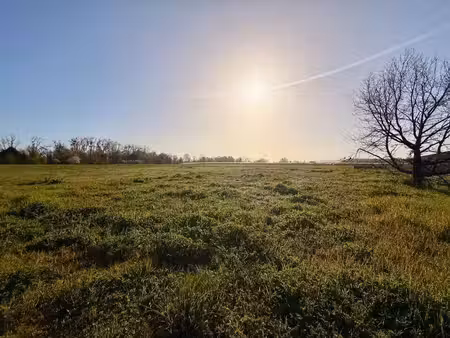 terrain constructible neuf à vendre