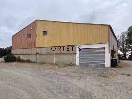 location local d’activités portet sur garonne 31120 675m²