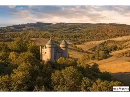 vente château 20 pièces 585 m² à rivière-sur-tarn (12640)  926 000 €