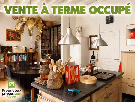 vente à terme occupée maison d'artiste chatillon sur loire