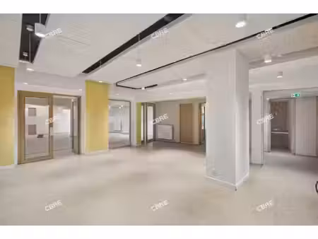 location local professionnel 951m²