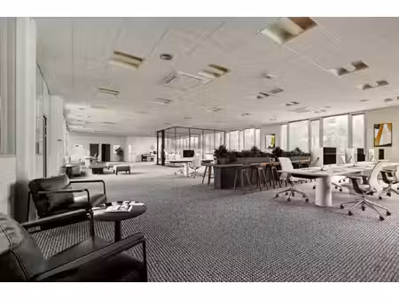 location local professionnel 517m²