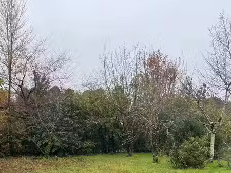 terrain à bâtir à ambarès-et-lagrave (33440)