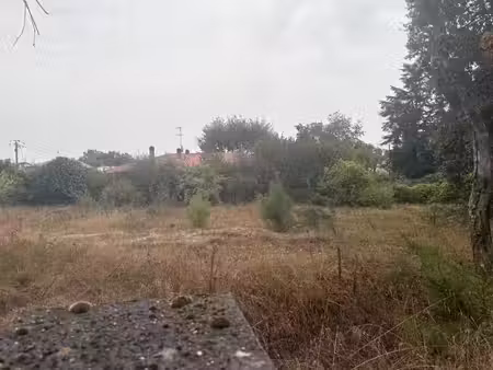 terrain à bâtir à léognan (33850)