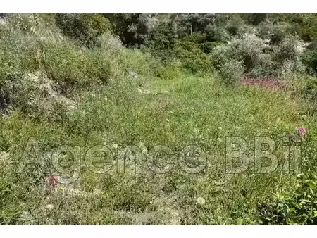 vente terrain nice 06300 - 2420000 € - surface privée