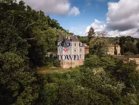 prestigieux château en vente belleville-sur-saône  france