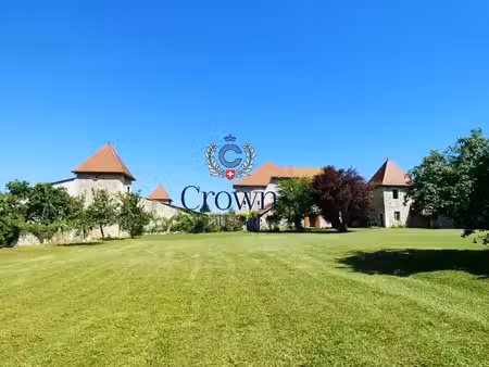 prestigieux château de 450 m2 en vente - chambéry  france