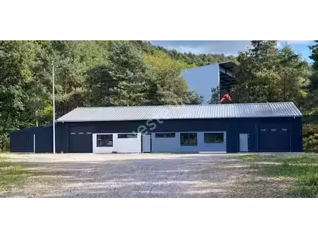 location entrepôt saint avold 57500 220m²