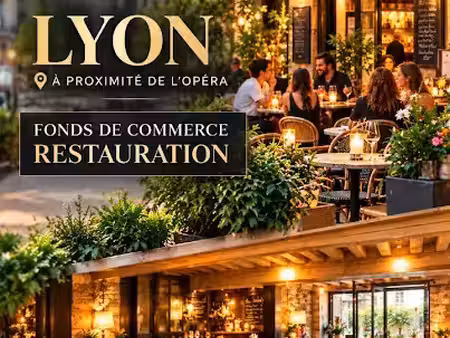 vente locaux professionnels 0 pièces 210 m² à lyon 1er (69001)  770 000 €