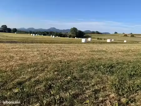 vente terrain 1000 m² à vernines (63210)  33 000 €