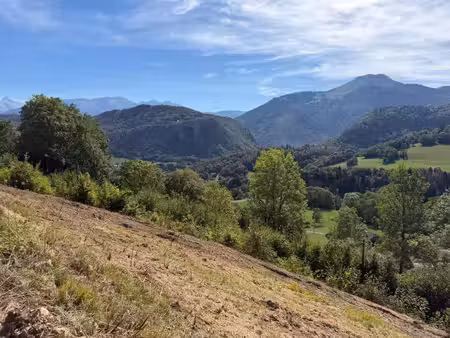 terrain