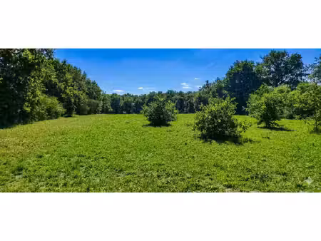 terrain de loisir de 3 000 m² au calme