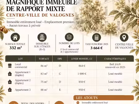 immeuble de rapport mixte entièrement loué  44 000 € de revenus annuels