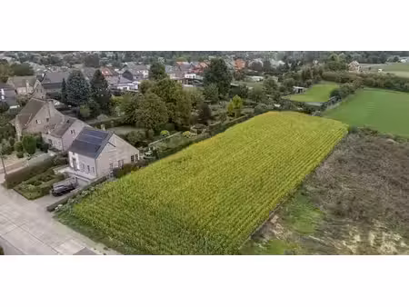 terrain à bâtir à vendre à rijkhoven pour € 169.000