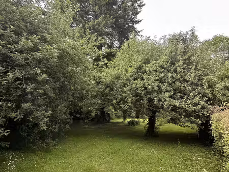 terrain villiers-sur-morin proche centre ville