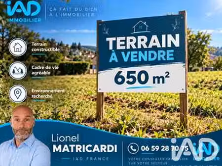 vente terrain à angles (85750) : à vendre / 650m² angles