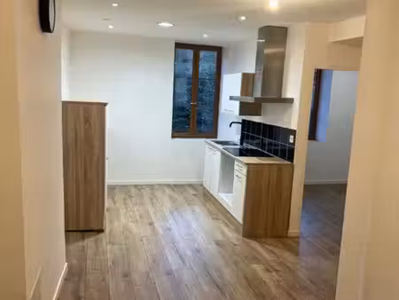 appartement lumineux de 75 m2 à thizy-les-bourgs