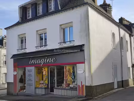 plein centre de pluvigner