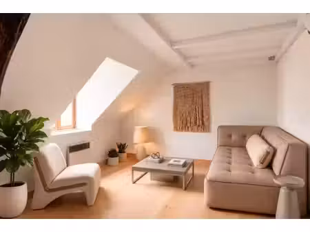 appartement traversant sous combles - centre-ville