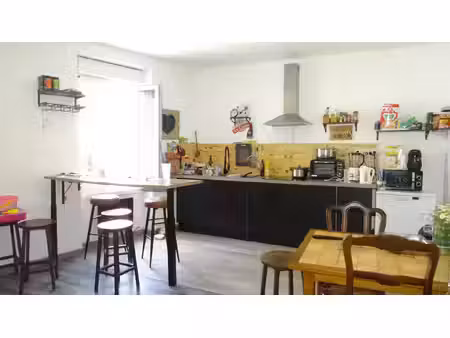 immeuble lavelanet 10 pièce(s) 260 m2