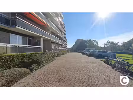 appartement te huur in ekeren met 3 slaapkamers