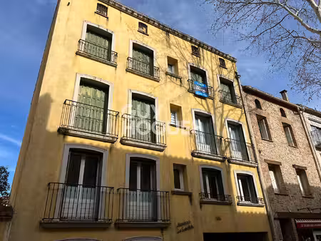 appartement duplex ceret 4 pièce(s) 90 m2