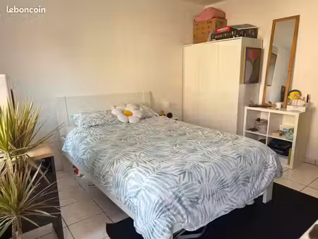 appartement t1 à louer